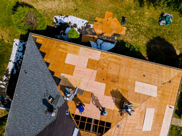 Best Roof Maintenance Services  in East Meadow, NY